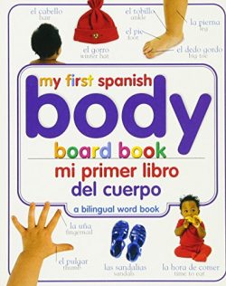 Mi Primer Libro del Cuerpo/My First Body Board Book (My First Books)