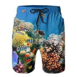 Tydo Tropical Fish Coral Reef Underwater Men’s Beach Shorts Quick Dry Summer Swim Trunks S ...