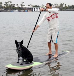 Pup Deck Stand Up Paddle Board Traction Pad For Dogs – Solid Pad